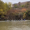 IMG 0411